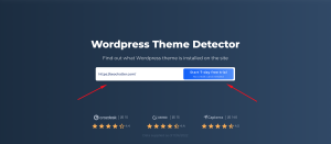 Leia mais sobre o artigo WordPress Theme Detector