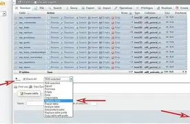 Image illustrating the importance of a well-maintained WordPress site