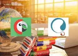 Leia mais sobre o artigo Traduire Son Site D’Hôtel Avec Wpml Ou Polylang