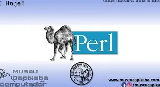 Leia mais sobre o artigo WordPress Linguagem De Programação