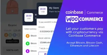 Leia mais sobre o artigo Sécuriser Les Données De Paiement Des Clients Sur WordPress