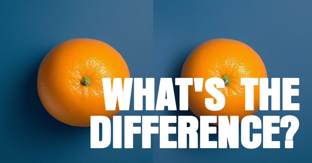Leia mais sobre o artigo What’S The Difference Between A Cms And An E-Commerce Platform? A Beginner’S Guide Explained